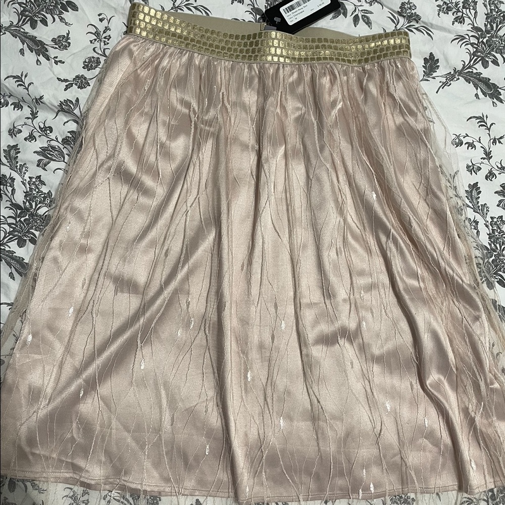 Never worn Sliver Icing midi